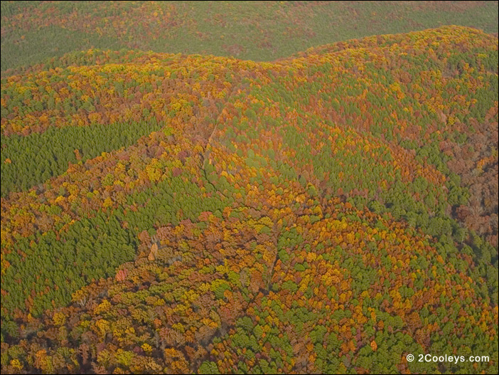 Baxter County Arkansas hwy 341 ozark national forest