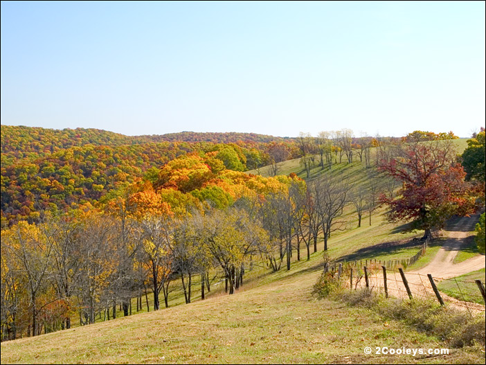 Fall in the Ozarks!
