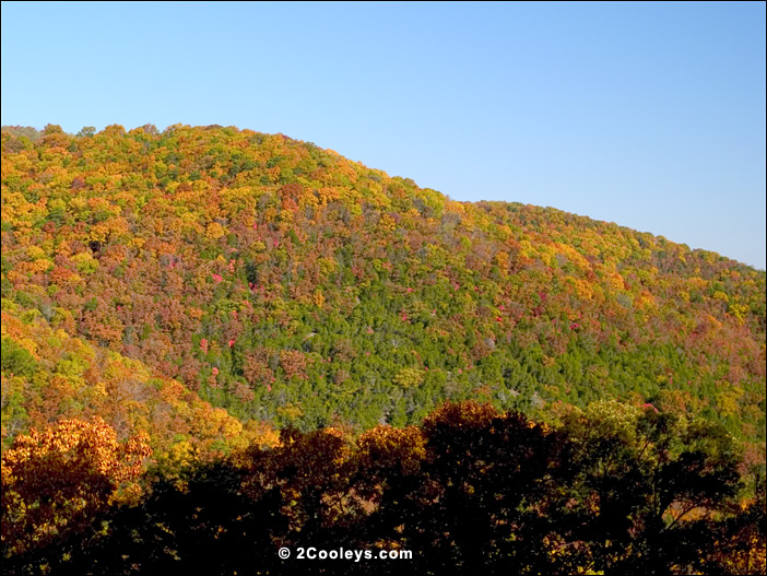 Near Scenic Byway 5, Baxter County, Arkansas