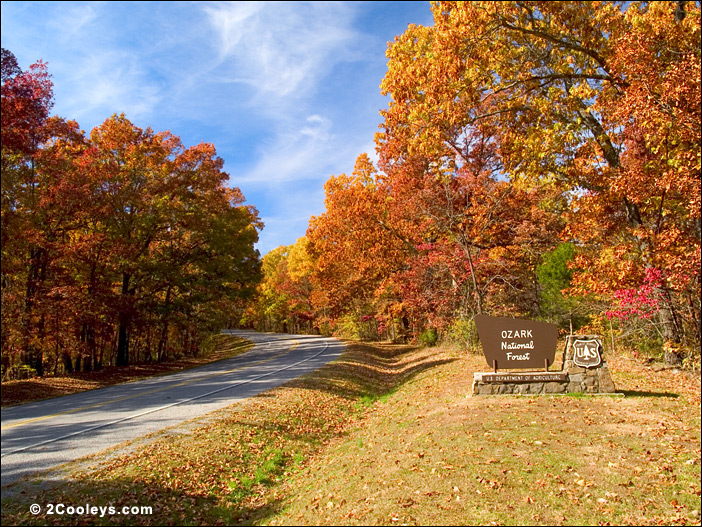 ozark National Forest near Mountain View, Arkansas