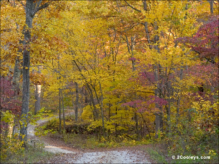 Caney Mountain Conservation Area in fall foliage