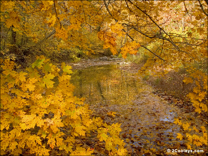 Autumn in the Ozark Mountains creek