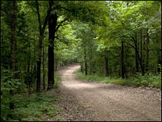 sylamore area back roading